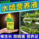 水培蔬菜營養(yǎng)液蔬菜室內無土栽培不傷苗防病上海青生菜專用營養(yǎng)液 一瓶裝【體驗裝】