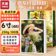 天章 （TANGO）4R 6寸單面高光相片紙 230g名片定制打印相片 彩色照片打印紙  6英寸證件照打印機(jī)照相紙 100張/包