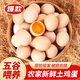 農(nóng)家散養(yǎng)鮮雞蛋谷物蟲草喂養(yǎng)土雞蛋40枚柴雞蛋笨雞蛋現(xiàn)撿現(xiàn)發(fā) 土雞蛋40g+/枚 30枚