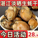 頂吉漁湛江生蠔干海蠣干牡蠣干特產(chǎn)無鹽淡干海產(chǎn)干貨新貨批發(fā) 湛江生蠔干250克【當(dāng)季新曬】