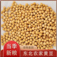 東北黃豆大豆生豆芽打豆?jié){專用五谷雜糧非轉(zhuǎn)基因粗糧發(fā)豆芽飽滿 450g黃豆