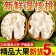 綠水秦川正宗涼山去皮鮮核桃新鮮水果10年老樹果當(dāng)季現(xiàn)摘生鮮核桃整箱 嚴(yán)選特級(jí)3斤裝 凈重2.5斤+帶青皮