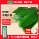 華田禾邦野生粽葉8-11cm超大號(hào)粽葉100片新鮮箬葉 端午節(jié)包粽子天然竹棕葉