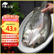 黃小漁三去海鱸魚(yú)2斤/2條 開(kāi)背鱸魚(yú) 生鮮 魚(yú)類(lèi) 海鮮水產(chǎn)夜宵燒烤食材