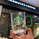 星巴克（Starbucks）高顏值梨花杯甄選經(jīng)典金色透明耐高溫男女生超大容量咖啡杯牛奶杯 梨花杯-限時(shí)促銷(xiāo)