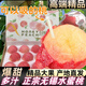 水蜜桃【現貨】正宗無(wú)錫白鳳水蜜桃 時(shí)令水果現摘新鮮精選桃子 6粒禮盒裝（單果180~250克）