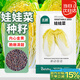 北蔬 娃娃菜種子苗山東夏秋季高山黃金小白菜蔬菜種籽 娃娃菜種子10g