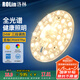 洛林（ROLin）全光譜led燈盤燈泡吸頂燈替換燈芯燈條磁吸燈盤三色變光RA97 24W