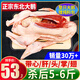 柒島大鵝生鮮整只鵝肉大白鵝老鵝新鮮農(nóng)家散養(yǎng)土鵝烤鵝煲湯紅燒批發(fā) 大鵝殺后凈重5-6斤【甄選品質】