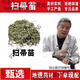 百華源掃帚苗中藥材掃帚草地膚子煮水身上癢外洗方擦洗帶狀皰疹 掃帚苗250克