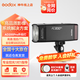 神牛（Godox）AD200pro/AD200proII閃光燈鋰電池口袋便攜外拍攝影補(bǔ)光燈單反相機(jī)高速TTL閃光燈 AD200pro標(biāo)配（通用版） 標(biāo)配（引閃器套裝需備注相機(jī)型號(hào))