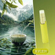 星川鴨嘴獸薄荷潤(rùn)喉醒神電子口腔噴霧器清新口氣吸大容量液倉(cāng)器 十只裝（口味備注）