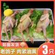 森牧農(nóng)散養(yǎng)土鴿 5年左右老鴿子生鮮農(nóng)村柴鴿帶內(nèi)臟鴿子3年農(nóng)家鴿子肉3只 三年左右老鴿3只1.8斤以上