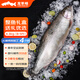 龍羊峽冰鮮國產(chǎn)青海三文魚(yú)整條大魚(yú)禮盒冷水魚(yú)生鮮高原虹鱒送禮順豐 冰鮮整魚(yú)禮盒 4.3kg （8-9斤）