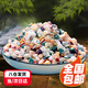 茨格曼魚(yú)缸底砂 魚(yú)缸造景石 雨花石 鵝卵石 夜光石溪流石 五彩石白石子 魚(yú)缸造景-天然五彩石2.5kg