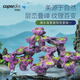 光特億（caperplus）光特億海水造景海水魚(yú)缸珊瑚缸免爆藻水族箱造景裝飾布景珊瑚基座 海水造景石-小號