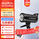 神牛（Godox） 攝影燈sk400二代閃光燈影室閃光燈服裝人像拍照攝影棚套裝影樓服裝攝影燈 SK400II 閃光版