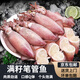 海兔子滿(mǎn)籽墨魚(yú)仔新鮮海兔鮮活帶籽筆管魚(yú)大烏賊籽烏魷魚(yú)海鮮水產(chǎn) 滿(mǎn)籽筆管魚(yú)1斤8-14只 1斤(凈重)