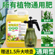 鑫德馬植物通用營(yíng)養液土培水培發(fā)財樹(shù)綠蘿富貴竹盆栽室內外開(kāi)花促綠肥料 植物通用【2500ml】送1.5升噴壺