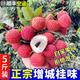 探鮮鋒（TANXIANFENG）廣東增城桂味荔枝糯米糍仙進奉新鮮荔枝空運水果生鮮送禮盒禮 【空運】桂味精品果5斤