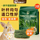 怪獸盒子25年提摩西草烘干草段兔子干草多葉飼料龍貓幼兔荷蘭豬糧食用干草 烘干切段提摩西草500g*3袋