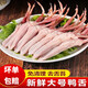 生鴨舌頭大號(hào)冷凍大號(hào)鴨舌鴨舌頭生鮮鴨舌頭鴨貨生鴨舌食材 大鴨舌1斤裝