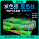 尼特利 NETLEA尼特利三代全光譜水草燈專業(yè)級SUN燈珠魚缸支架燈3代原生溪流爆藻 SUN三代支架燈-35W