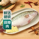 鮮活鱸魚(yú)550-650g/條