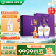勁牌 毛鋪苦蕎酒 露酒 紫蕎 42度 500ml*2瓶 禮盒送禮 含禮袋