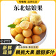 【順豐】東北姑娘果特產(chǎn)水果新鮮整箱菇娘果燈籠果小金豆現(xiàn)摘產(chǎn)地 帶箱3斤