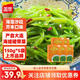 蓋世（Gaishi） 調(diào)味海藻沙拉150g*5袋即食裙帶菜 中華海草小包裝素食小菜夜宵 芥末150g*5袋