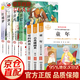 小英雄雨來(lái)+愛(ài)的教育+童年 高爾基原著(zhù) 六年級課外閱讀 童年六年級上冊  六年級上冊課外書(shū) 快樂(lè )讀書(shū)吧六年級上冊課外閱讀書(shū)籍童年六年級必讀課外書(shū) 六年級課外閱讀必讀 全7冊童年+愛(ài)的教育+小英雄雨來(lái)+