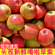 隴百味嘎啦蘋果25年新鮮現(xiàn)摘山西運城脆甜當季應(yīng)季時令水果整箱產(chǎn)地直發(fā) 凈重4.5斤【18枚裝】泡沫托裝