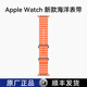 IFACE MALL新25夏款適用蘋(píng)果手表表帶apple watch ultra2海洋硅膠雙扣回環(huán)表帶iwatch S10/9/8/7/6/se表腕帶 橙色-海洋表帶 | 彈力鈦色扣 49mm表盤(pán)【適用Ultra2/1 】