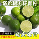 風(fēng)車(chē)車(chē)農場(chǎng)云南無(wú)籽青檸檬塔 希提香水檸檬 奶茶店優(yōu)選 3斤小果（單果50g以下）
