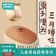 NITORI宜得利家居 客廳沙發(fā)臥室靠墊抱枕卡通可愛軟 栗子饅頭 烤肉抱枕 栗子饅頭抱枕