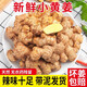 云南正宗小黃姜高山沙姜新鮮生姜現(xiàn)挖老姜土姜蔬菜 1500g品質(zhì)裝 源頭直發(fā)