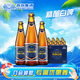 燕京啤酒 V10精釀白啤10度 426mL 12瓶