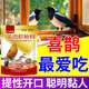 開心寵樂園喜鵲飼料幼鳥專用鳥糧提性開口壯膘亮羽牛肉蝦蟲干四喜鳥營養(yǎng)鳥食 一袋裝【1斤】