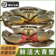 【活鮮】特大青蟹鮮活超大滿(mǎn)黃紅膏蟹螃蟹野生黃油蟹送禮禮盒順豐 紅膏母蟹1斤裝（2只）