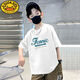 G.DUCKKIDS兒童裝男童t恤短袖2025年夏季新款韓版透氣大童棉質(zhì)半袖男孩上衣 白色 160 建議身高150-160cm 11-12歲