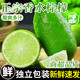 夢(mèng)芷正宗香水檸檬【多地隔日達(dá)】海南新鮮采摘青檸檬水果果奶茶店專用 3斤【很劃算-超值推薦】凈2.5斤 商超品質(zhì)|單果【80-90g】