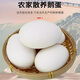 博多客鵝蛋新鮮 農(nóng)家散養(yǎng)鵝蛋 初生蛋孕婦高營(yíng)養(yǎng)現(xiàn)撿現(xiàn)發(fā) 正宗土鵝蛋 鵝蛋6枚 （每枚80g-100g）