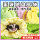 MDUG盤(pán)蜜袋蜜袋鼯外出包把玩袋飛鼠夏季透氣把玩袋松鼠花枝隨身用品包 黃色