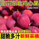 東北雞心果正宗東北特產(chǎn)酸甜海棠果孕婦水果雞心果新鮮脆甜多汁 5斤果王（泡沫箱發(fā)貨）中通快遞