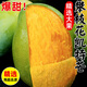 久雅優(yōu)鮮四川攀枝花凱特芒當(dāng)應(yīng)季新鮮水果超甜芒果水果應(yīng)季現(xiàn)摘時令生鮮 4.5-5斤（單果300g+）