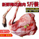 芬氏新鮮梅花鹿肉 腿肉生鮮現(xiàn)殺梅花鹿肉全腿帶骨帶蹄鹿肉白條整只 2斤鹿腿肉 送;:1斤滋補(bǔ)鹿肝