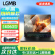 LGMB拯救系列筆記本電腦2025款酷睿i9+RTX4060獨顯黑悟空電競游戲本高性能大學生AI編程設(shè)計輕薄本 【拯救系列】酷睿i7+4K獨顯2GMax中高端游戲 32G運行+2T極速固態(tài)硬盤