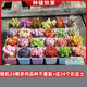 多肉植物組合盆栽陽(yáng)臺桌面喜陽(yáng)植物帶盆土果凍顏色 24顆隨機不重復【24個(gè)彩盆和土】