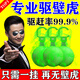 戶(hù)凈壁虎驅趕藥專(zhuān)殺室內外通用驅壁虎專(zhuān)用藥神器捕捉器滅壁虎特效藥丸 1盒裝【家用驅壁虎】
